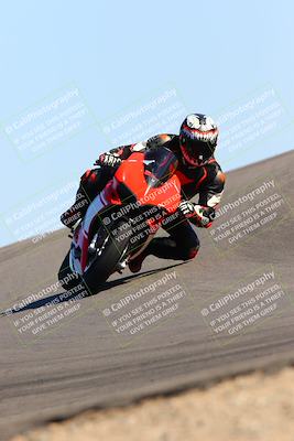 media/Feb-12-2022-SoCal Trackdays (Sat) [[3b21b94a56]]/Turn 12 (140pm)/